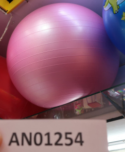 Мяч -прыгун гимнастический (65см, 900 гр) Арт. AN01254