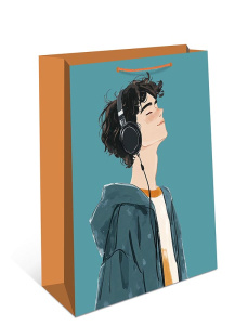 0193.663 Сумка подарочная AB 260х320х120