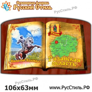 Магнит /Рязань Книжечка_04/
