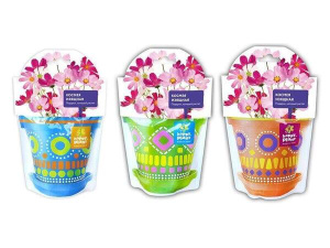 Космея изящная