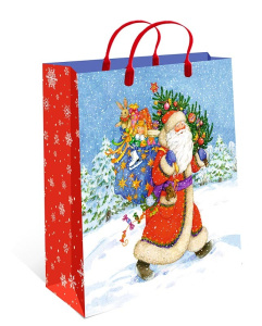 Сумка пластиковая НГ 260х240х90 арт.0428.388