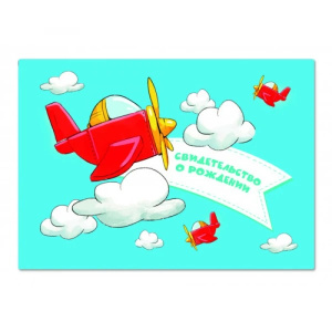 Обложка для свидетельства о рождении ПВХ Самолет(НОВОГО ОБРАЗЦА) 5767